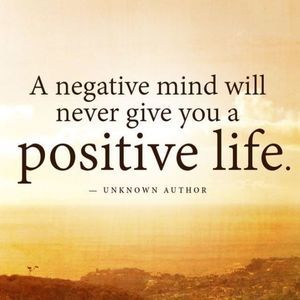 Meet your Posher, Marlin